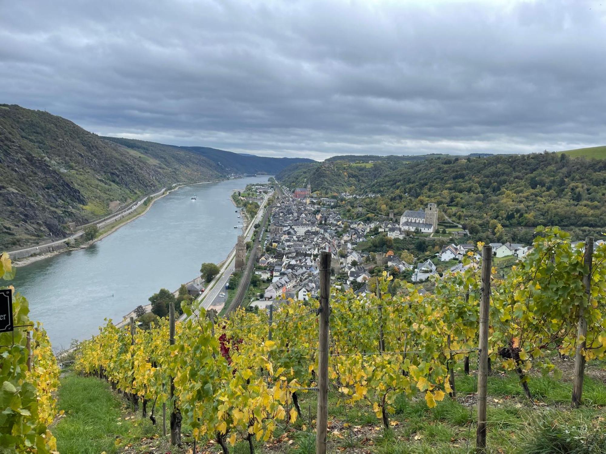 Am Apfelbaum, Ein Ferienhaus Zwischen Rhein Und Mosel Kastellaun Exterior photo
